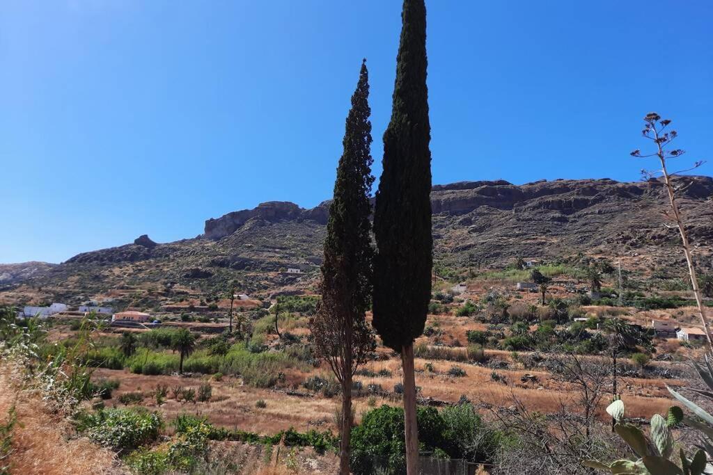 Casa Rural Los Cipreses. Cercados De Arana San Bartolomé エクステリア 写真