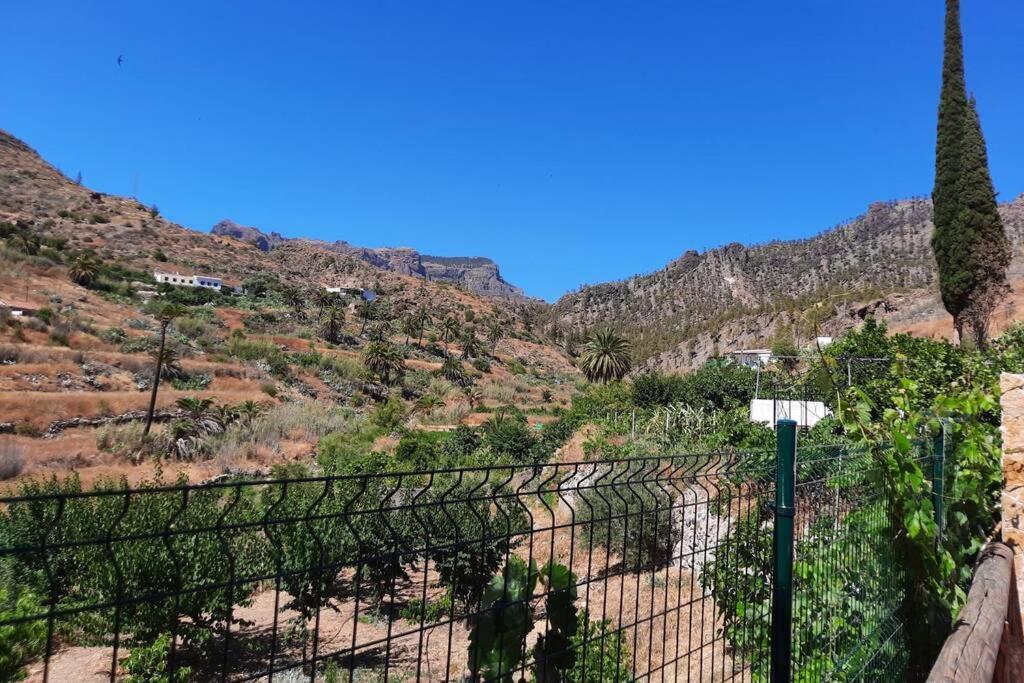 Casa Rural Los Cipreses. Cercados De Arana San Bartolomé エクステリア 写真